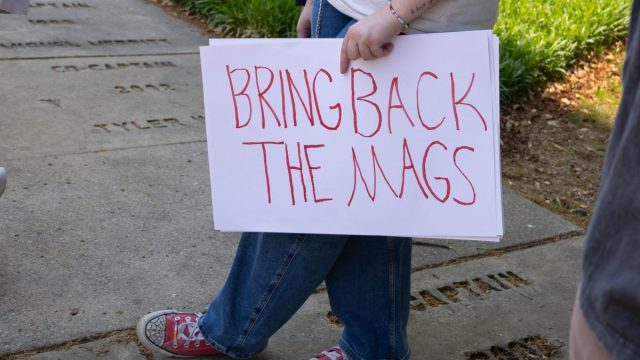 Student Media Unite to Support Alabama's Legal Bat