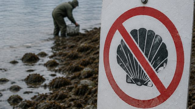 Health Advisories Alert: Unsafe Shellfish Harvesting in Southeast Alaska | ole88id, rtp sin88